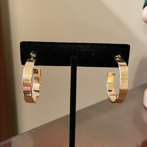 Elegant Gold Hoop Earrings